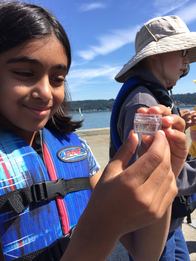 NOAA Science Camp Registration Is Now Open | NOAA Pacific Marine ...